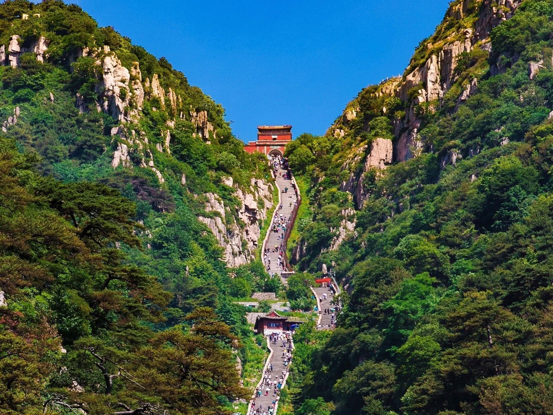 泰山景区 - 金耀集团合作客户